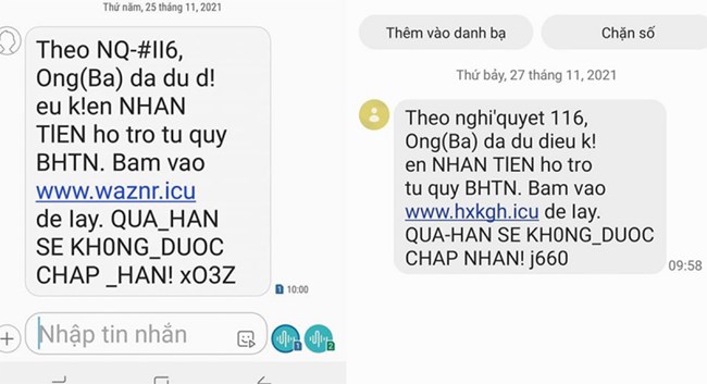 Nhiều biện pháp cảnh báo người dân về tình trạng lừa đảo nhận hỗ trợ từ Quỹ bảo hiểm thất nghiệp (01/12/2021)